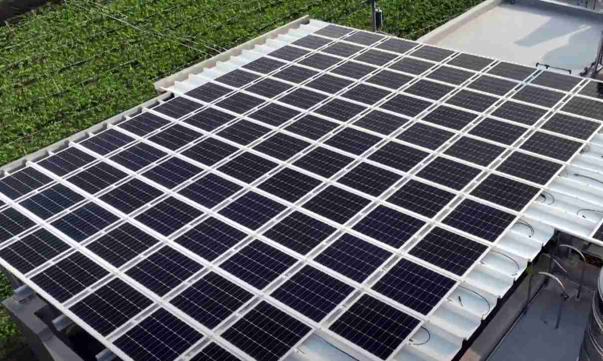 888.BY集团电子游戏SunSteel光电浪板升级双玻结构，，，以提升机械负载强度及气候耐候度，，，可广泛运用于多元场域